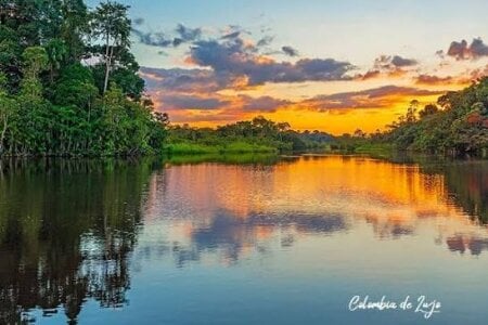 🫒🐒Next destination:Amazonas Leticia. de love_amor_ Foto 4