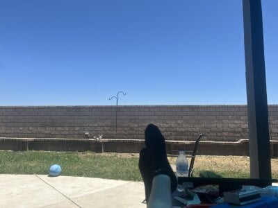 Tiggitytomociti Public Pic 4