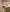 MiaM00N Naked Sleeping Beauty🫣🥰 사진 4