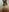 KellyBartonShower for both of us,you and my ass 😈照片 2