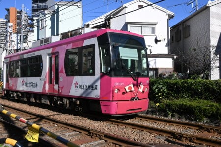 saitama0038 一眼レフ 사진 5