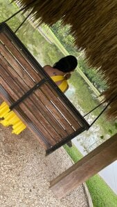 Lia_Hurley 🌻🍃✨ Bilde 3