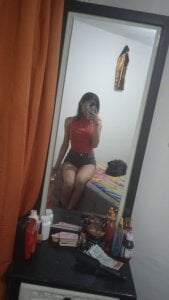 Public de Siena_fox  6 Imagens