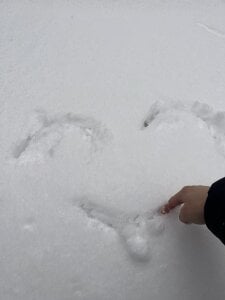 nanagaga 来个小诱惑 Pic 4