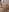 Dajla Naked Dajla for you and your good mood❤️ Pic 2