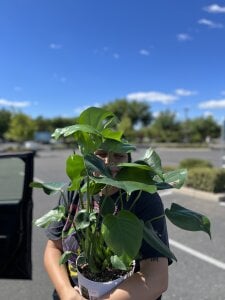 Taste_of_wild Public Pic 3