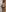 MikeMiller2 Mike in lingerie 사진 5