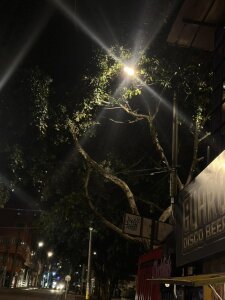 dear_oss1 Just me Pic 4