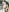 VenusIslove Doggie style Foto 5