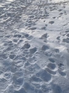 it was an incredible winter day od liana_kisses  5 snímek