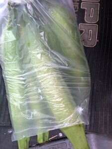 Gucii69 Mis fans Pic 6