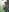 Constancia_puresummer walk照片 7
