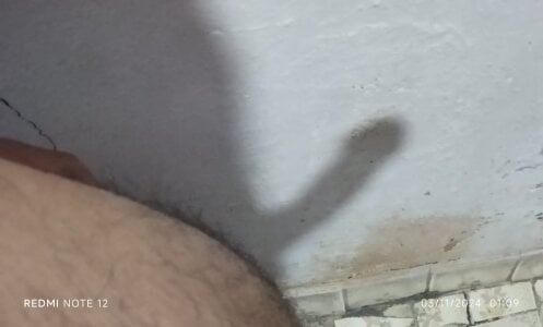 Public de Alex352025  2 Imagens