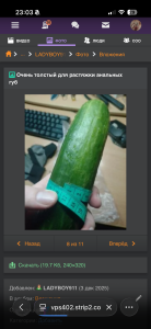 Alena504 Public Hình 4