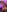 AlyssaHottv_ Nudes Pic