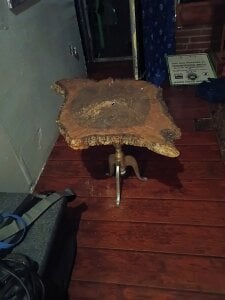 Treemandude Public Immagine  4