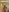 Eilin_clioWhat would you like to do照片 4