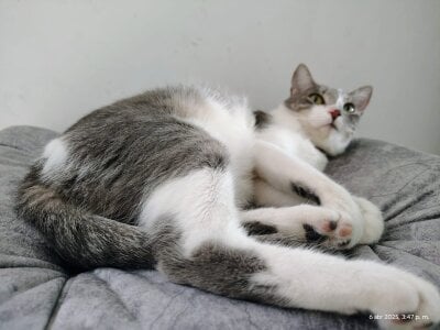 chunn_liioo My facts🤩😸 Pic