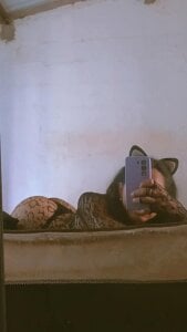 EmilyGomezLS your naughty kitten 😻  2. fénykép