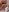 rosydee_nonnudeFeet照片 5