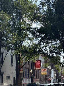 carolwet555 🐉🧧🩸 Pic 2