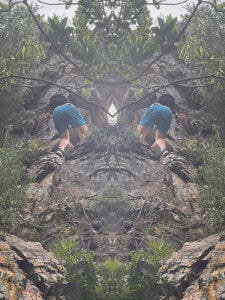 FloralMindxoのPublicの 3枚の写真