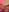 AshleyD_ Hot pics 😮‍💨 Pic 8
