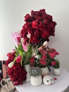 Chipu_babe Love 🌹 🌺 🌷 사진 5