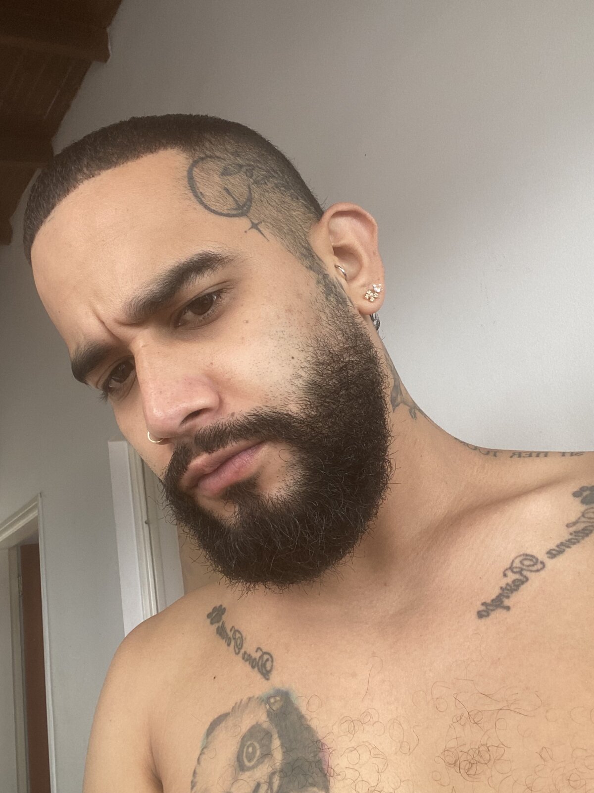 coleman_angel Trending Plaatje 4647