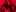 Kirca_mrr Enjoy Pic 6