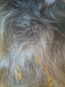 Alishababay Public . fénykép