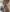Tenderly_Couple My juicy body Pic