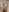Radiants_two Emy's Nudes Pic 8