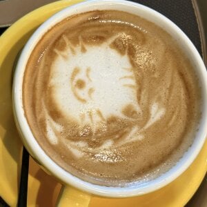 HoneyBunny-SasaのSasa♡の 2枚の写真