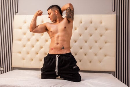 venedic_bull Public Billede