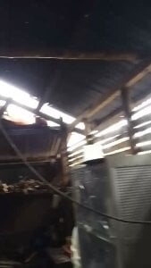 Alyxa_Star Your kindness and any tip would be greatly appreciated Foto