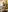scarlett_sexx69 Christmas 2023 Pic 5