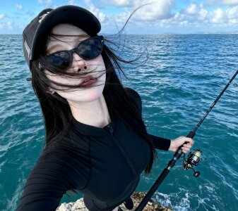 Alano0001 Public Immagine  4