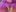 vixendoll87: Wanna taste? ( 5 фото)