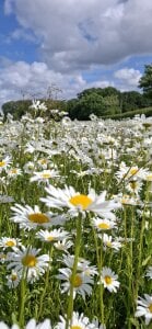 FreezingTie850 Public รูป  3