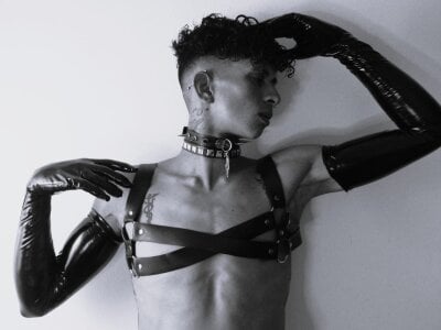 Maximoking26 Public Fotka