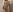 BeckyDwinellのI'm in the shower 💦の枚の写真