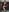 Emeli_Blur Oups Photo 2