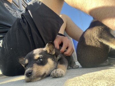 kevinsito1 Public صورة واحدة|kevinsito1 Public صورتان|kevinsito1 Public  9 صور|kevinsito1 Public  9 صورة