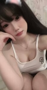 potato-188 potato 사진