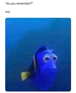 MaddisonHaas memes🤭 Photo 4