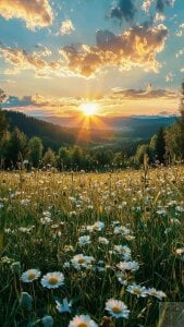 Eva_Meo so beautiful Fotka 3