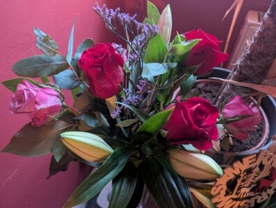 FreyaFucksFansのThe REAL fans!! 🎁😍💦の 3枚の写真