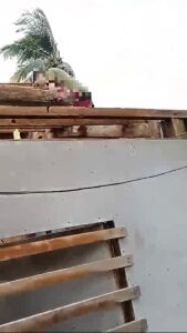 Alyxa_Star Your kindness and any tip would be greatly appreciated Foto 4