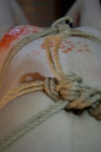 CoralAndOcean_ Welcome Pic